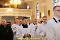 15455.jpg