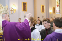 15550.jpg