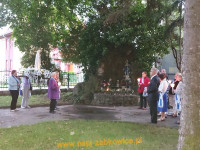 14131.jpg