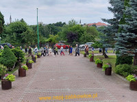 14065.jpg