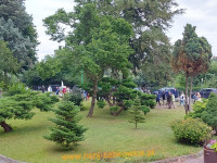 14068.jpg