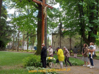 13857.jpg