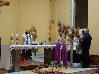 13510.jpg