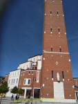 12642.jpg
