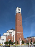 12644.jpg