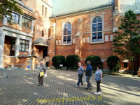 12652.jpg