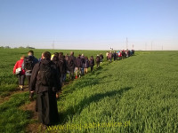 12265.jpg