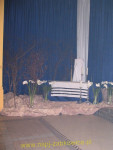 12178.jpg