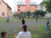 11633.jpg