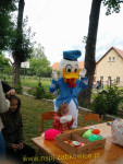 11491.jpg