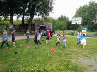 11504.jpg