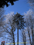 9422.jpg