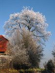 9425.jpg