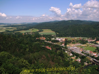 8941.jpg