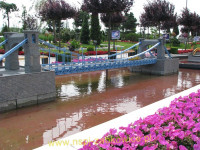 8962.jpg