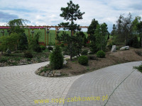 8975.jpg