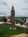 8971.jpg