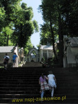 8865.jpg