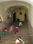 8867.jpg