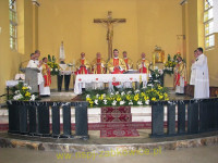 8659.jpg