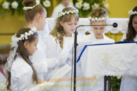8779.jpg