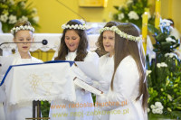 8778.jpg