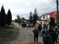 8554.jpg