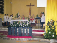 8467.jpg