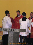 8442.jpg