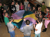 8146.jpg