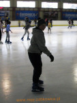 8234.jpg