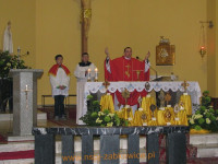 7951.jpg