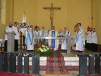 7915.jpg