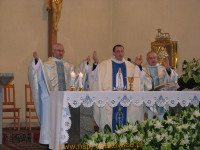 7755.jpg