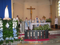7715.jpg