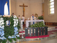 7685.jpg