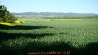 7515.jpg