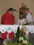 6750.jpg