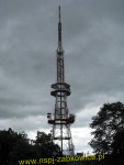 6526.jpg