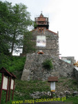 6550.jpg