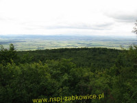 6547.jpg