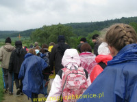 6176.jpg