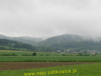 6172.jpg