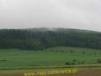 6173.jpg