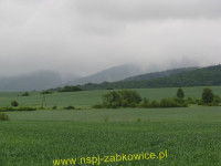 6174.jpg