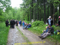 6193.jpg