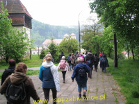 6196.jpg