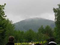 6194.jpg