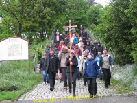 6197.jpg