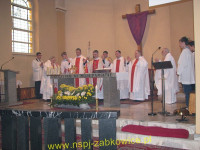 5954.jpg